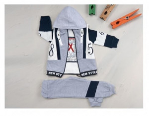 Trening 85, Bluza, Pantaloni si Hanorac, Pentru Baietei, Gri, 2-4 ani