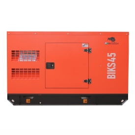 Generator insonorizat BIKS45 ATS, Putere maxima 44 kVA, 400V, AVR, motor Diesel - Img 4