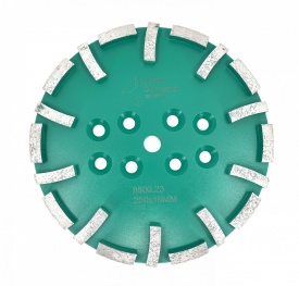 Disc cu segmenti diamantati pt. slefuire pardoseli - segment dur - Verde - 250 mm - prindere 19mm - DXDY.8500.250.23 - Img 1