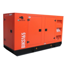 Generator de curent Bisonte BIKS165, insonorizat, Pmax= 165kVA 400V ATS inclus - Img 6