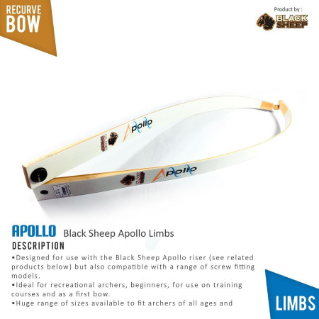 Lame Arc Recurve Black Sheep Apollo
