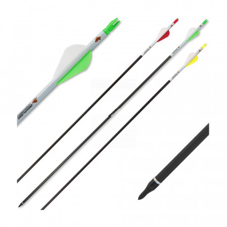 Sageata Carbon Skylon Fast Wing 6.2 - Set 6 Bucati