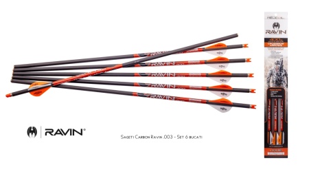 Sageti Carbon Ravin .003 - Set 6 bucati