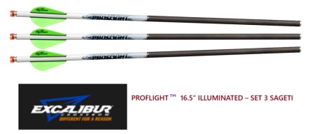 Sageata Excalibur Carbon Proflight Illuminated - 3 Bucati