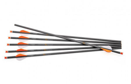 Sageata Arbaleta CenterPoint Carbon CP400 20 inch - 6 bucati