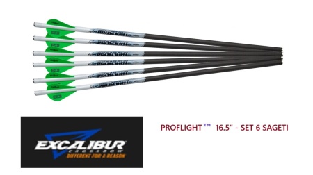 Sageata Excalibur Carbon Proflight 16.5 - Set 6 Bucati