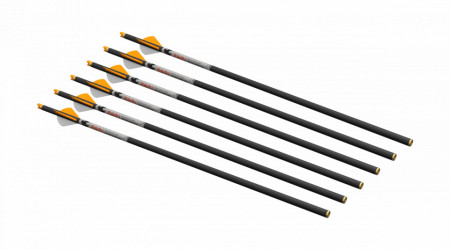 Sageti Carbon Ravin R500 400 Grain - Set 6 bucati