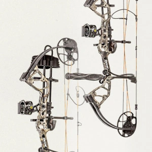 Set Arc Compound Bear Archery Royale Extra