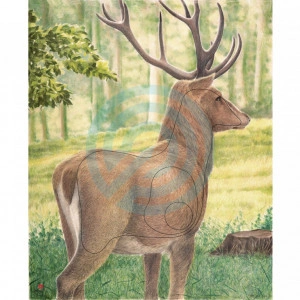 Tinte 2D Animale JVD Cerb - set de 5 bucati