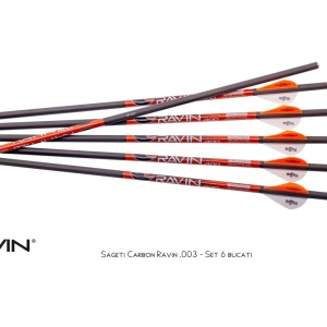 Sageti Carbon Ravin .003 - Set 6 bucati