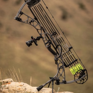 Stand Arc Compound Hoyt Go-Stix Carbon 2.0 - Img 4