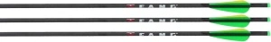 Sageata Arbaleta PSE Fang Coalition 20 inch - Set 3 Bucati