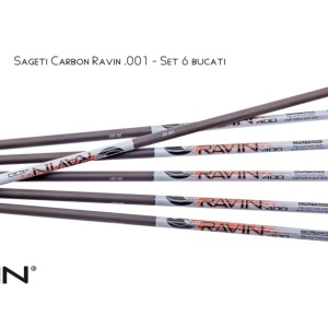 Sageti Carbon Ravin .001 - Set 6 bucati
