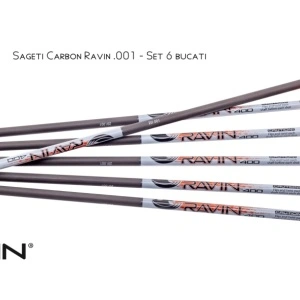 Sageti Carbon Ravin .001 - Set 6 bucati