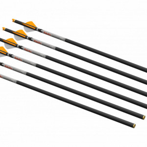 Sageti Carbon Ravin R500 400 Grain - Set 6 bucati