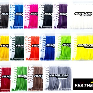 Set 50 Pene Naturale Avalon 4 Inci Shield - Img 2