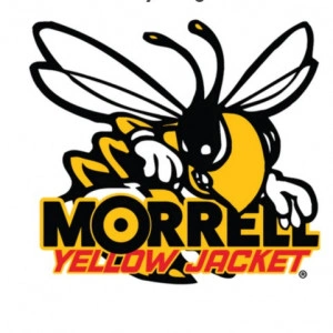Tinta Morrell Target Yellow Jacket Stinger - Img 5