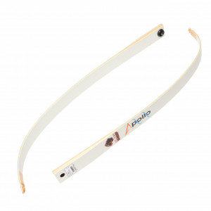 Lame Arc Recurve Black Sheep Apollo - Img 2