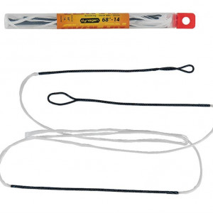 Coarda Arc Recurve Avalon Dynagen
