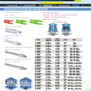 Sageata Carbon Skylon Radius Id4.2 - Set 6 bucati