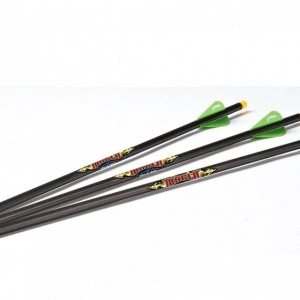 Set 3 Sageti Arbaleta Carbon Excalibur Diablo cu Nock Luminos
