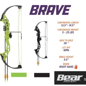 Set Arc Compound Bear Archery Brave
