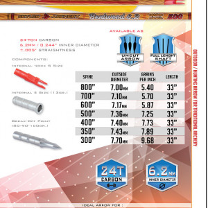 Set Sageti Carbon Skylon Carbon Bentwood ID6.2