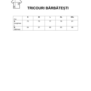 Tricou cu mânecă scurtă, cu oițe - Img 3