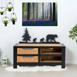 COMODĂ TV LOFT 2 sertare și 2 nișe, lemn masiv-100 x 40 x 50 cm