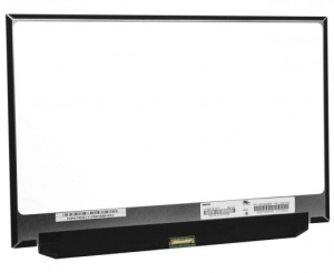 Display laptop 12.5" FHD 1920x1080 N125HCE-GN1 Rev.C2 SD10K93456 FRU 00NY418