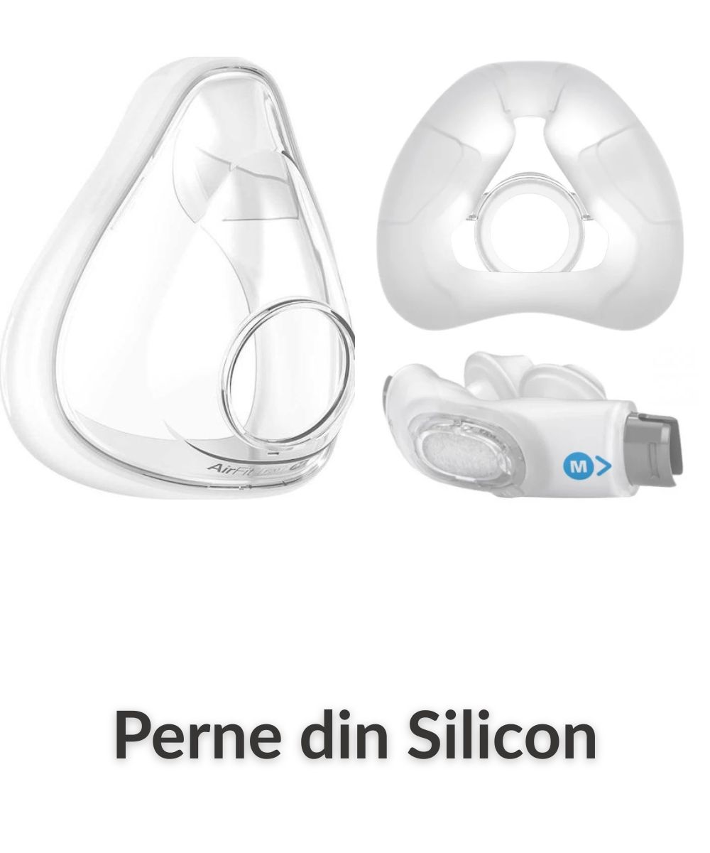 Perna din Silicon
