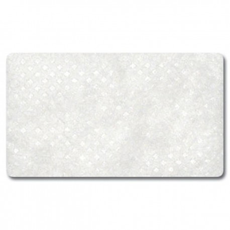 Hypoallergenic Filter AirSense 10