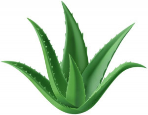 Servetele Umede Aloe Vera (70 buc) pentru Igienizare Accesorii CPAP - Img 2