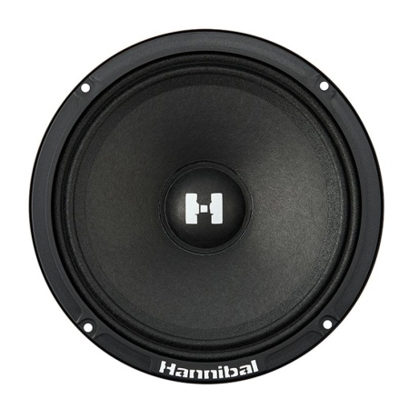 Difuzoare auto Deaf Bonce Hannibal HM-6E PRO set componente, 165mm, 80W RMS, 4Ω, set 2 difuzoare - Img 3