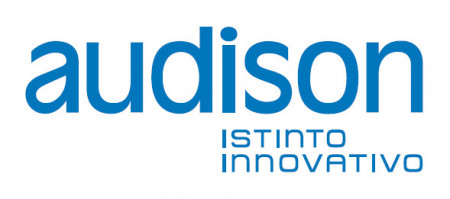 Sticker AUDISON - Img 2