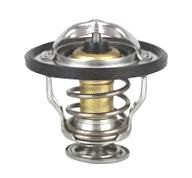 TERMOSTAT 1137700700