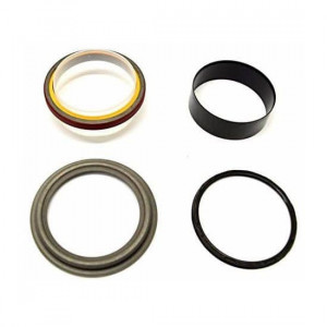 SEMERING RADILICE PREDNJI CUMMINS 66x79,5x8 3802820