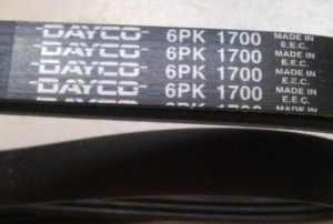 PK KAIS 6PK1700 3681239