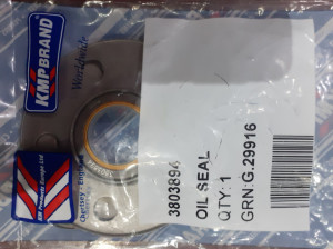 SEMERING VODENE PUMPE 3803894