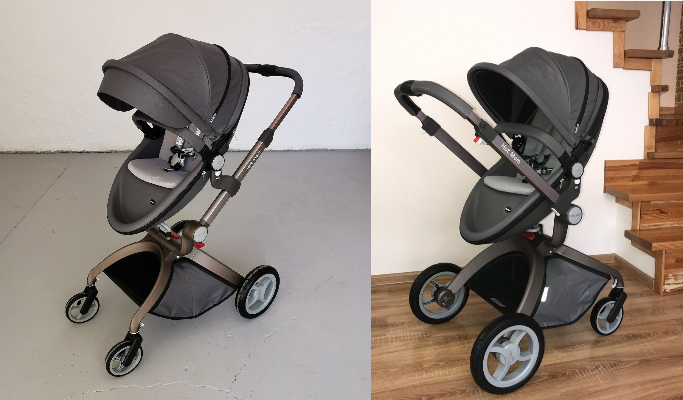 Patut Evolutil 1