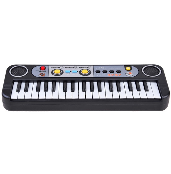 Instrumente Muzicale