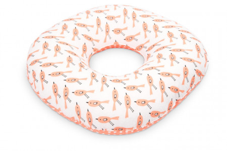 Perna postnatala (postpartum) Sensillo Pasari Coral