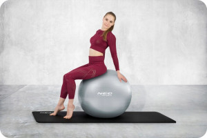 Minge pentru exercitii, diametru 65 cm, cu pompa inclusa, Neo-Sport, Gri - Img 6