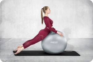 Minge pentru exercitii, diametru 65 cm, cu pompa inclusa, Neo-Sport, Gri - Img 7