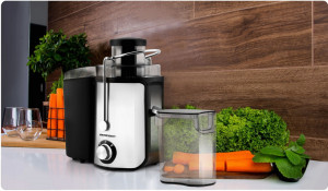 Storcator de fructe si legume, Berdsen, BD-750, 600-1000W, 2 trepte de viteza, capacitate 0.5L - Img 6