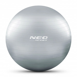 Minge pentru exercitii, diametru 65 cm, cu pompa inclusa, Neo-Sport, Gri - Img 2