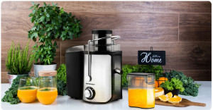 Storcator de fructe si legume, Berdsen, BD-750, 600-1000W, 2 trepte de viteza, capacitate 0.5L - Img 8