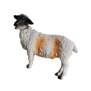 Set Figurine, 6 Animale domestice, cu oua si decor, multicolor - Img 5