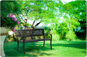 Banca de gradina cu spatar, lemn de plop, cadru otel, 125 x 77 x 49 cm, Sofotel Clover - Img 2