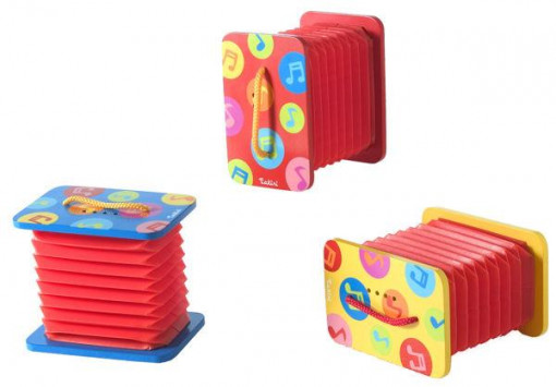 Acordeon Tatiri
